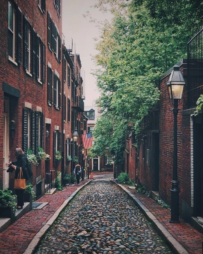 波士顿的住宅街道风景图片