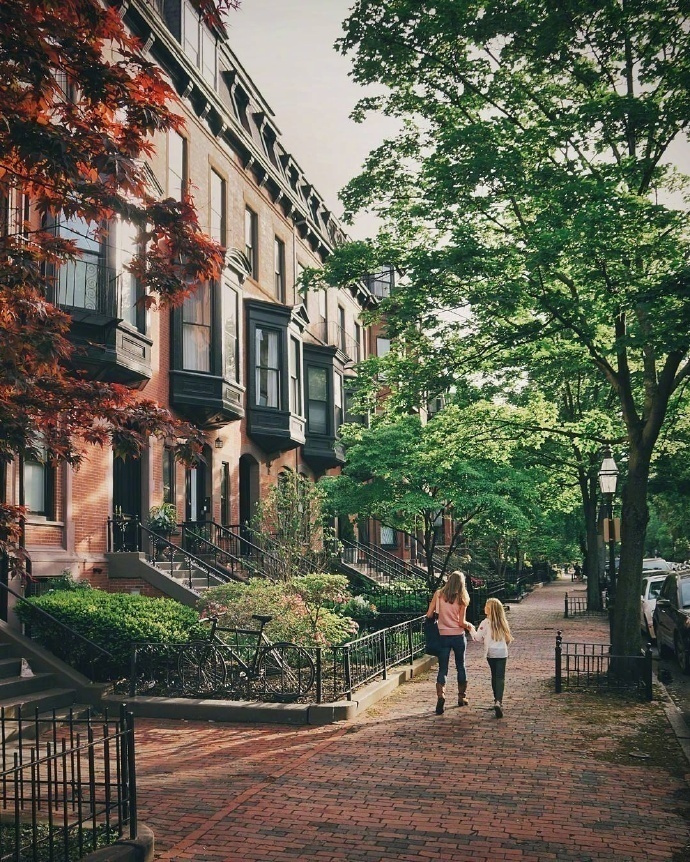 波士顿的住宅街道风景图片