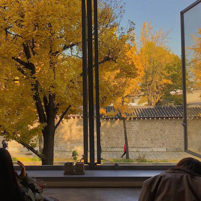 首尔网红咖啡店风景图片太美了想去打卡