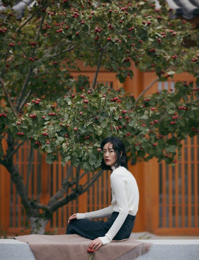 中国名模刘雯LIUWEN x ERDOS山楂树之恋写真图片