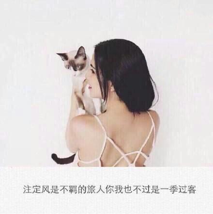 唯美伤感图片带字