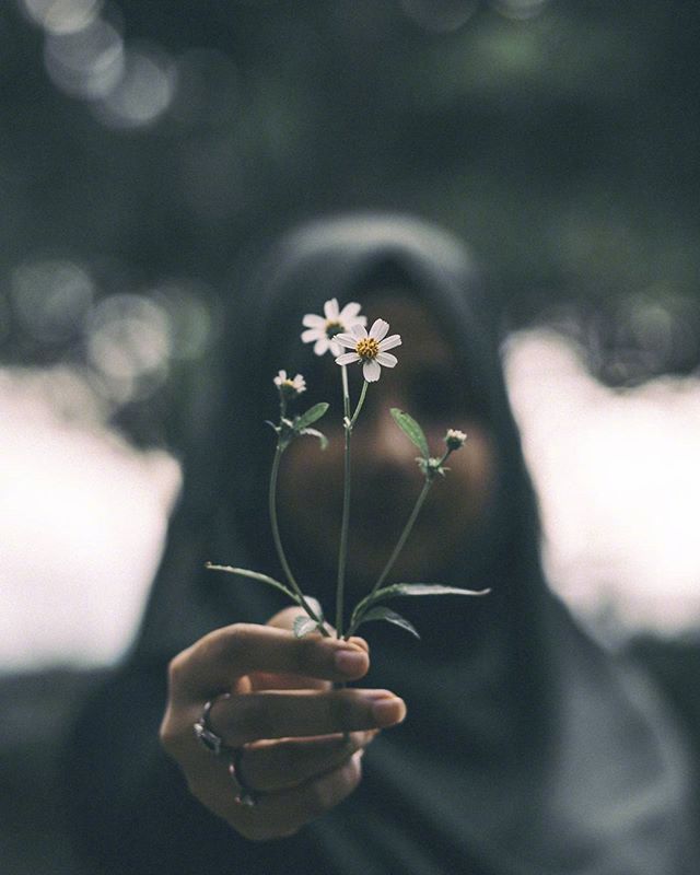 唯美语录图片 没有什么路是白走的 没有什么事情