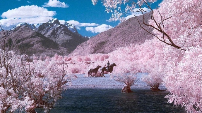 好想融化在新西兰的粉色天空风景图片