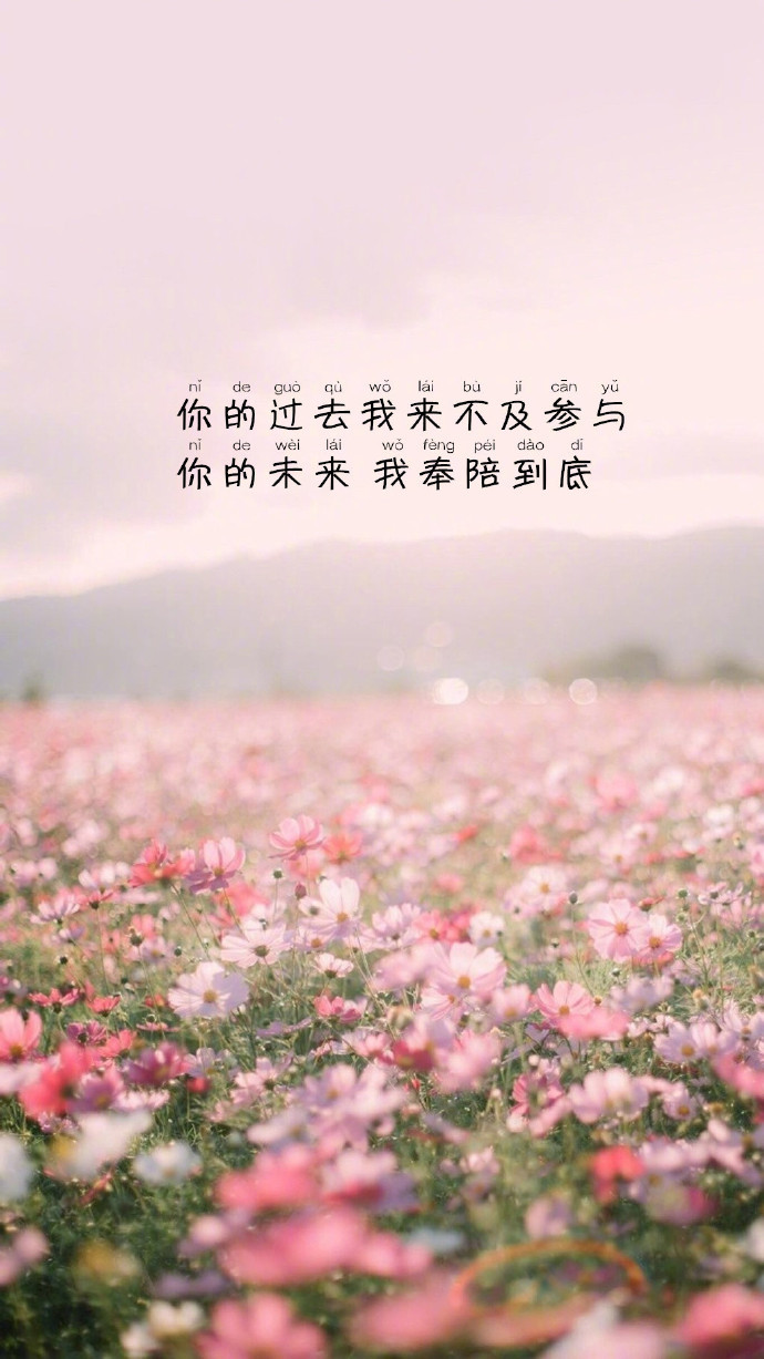 唯美文字壁纸图片 可往往是遇见了一个人才迎来