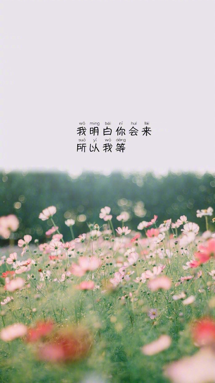 唯美文字壁纸图片 可往往是遇见了一个人才迎来
