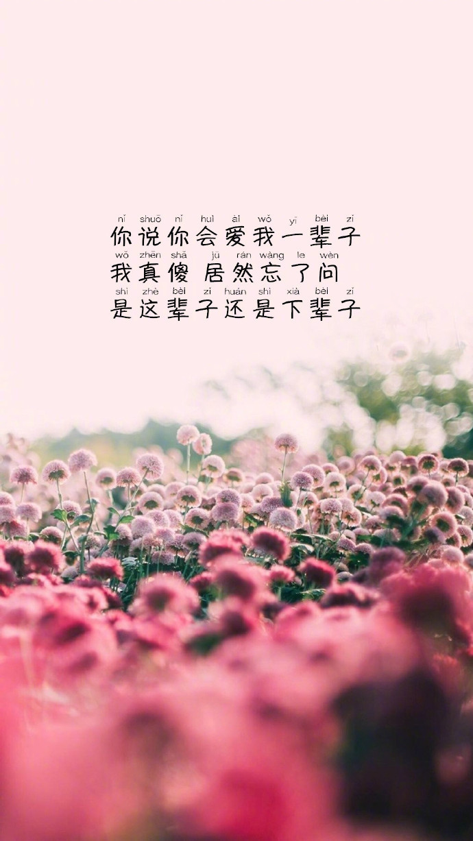 唯美文字壁纸图片 可往往是遇见了一个人才迎来