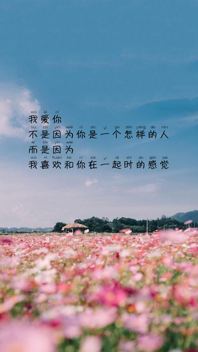 唯美文字壁纸图片 可往往是遇见了一个人才迎来