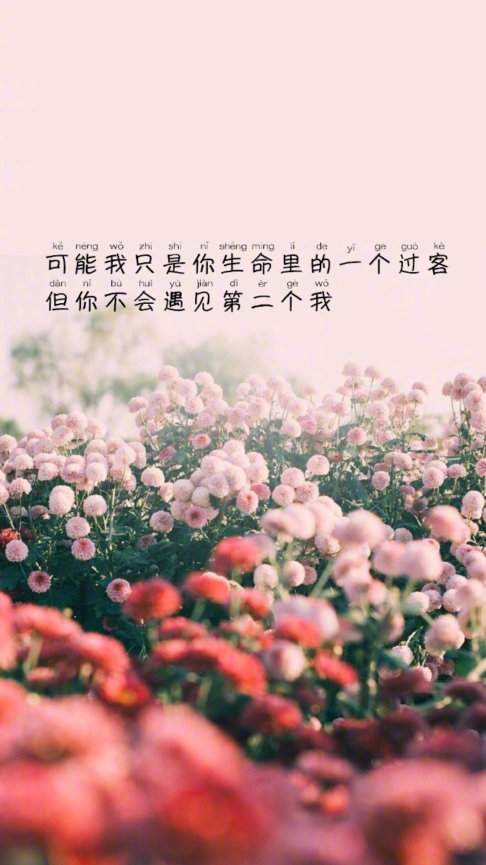 唯美文字壁纸图片 可往往是遇见了一个人才迎来