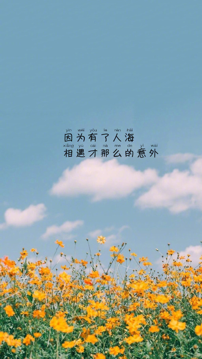 唯美文字壁纸图片 可往往是遇见了一个人才迎来