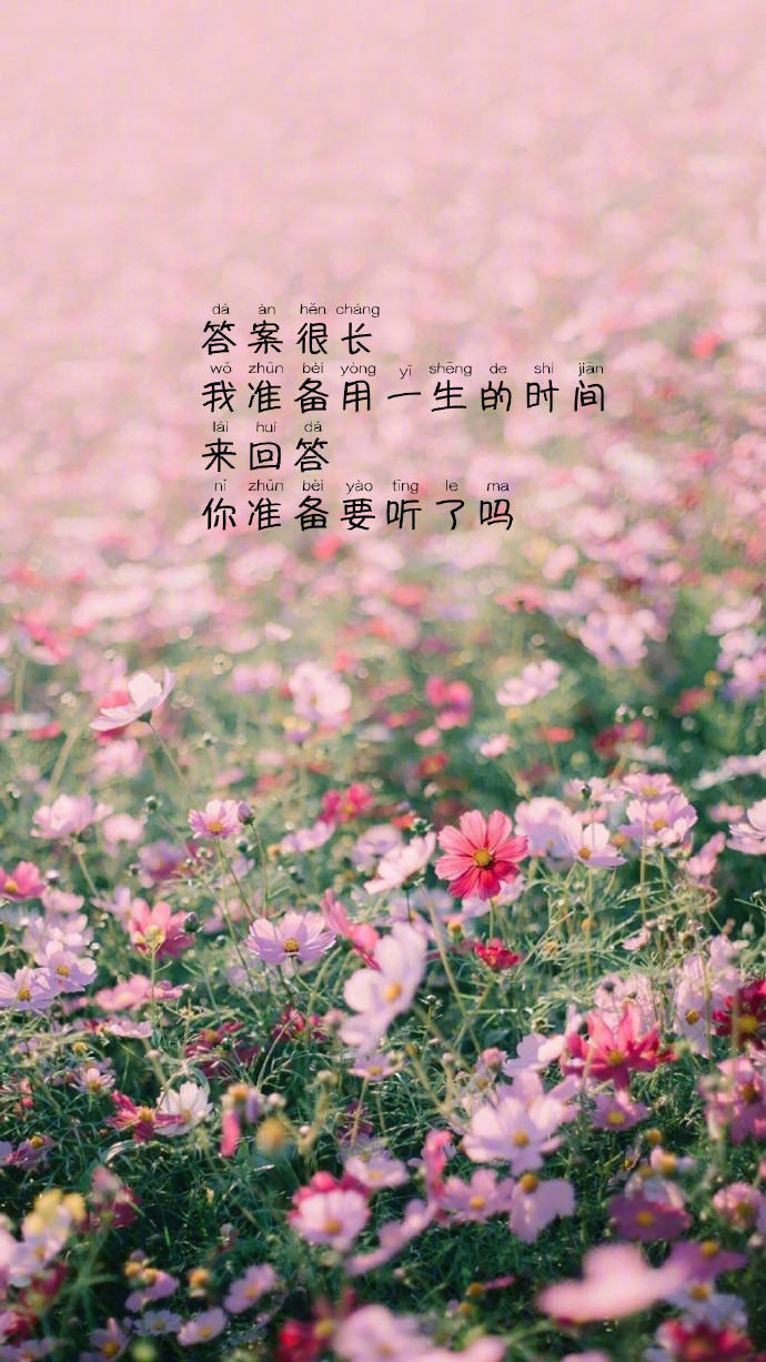唯美文字壁纸图片 可往往是遇见了一个人才迎来