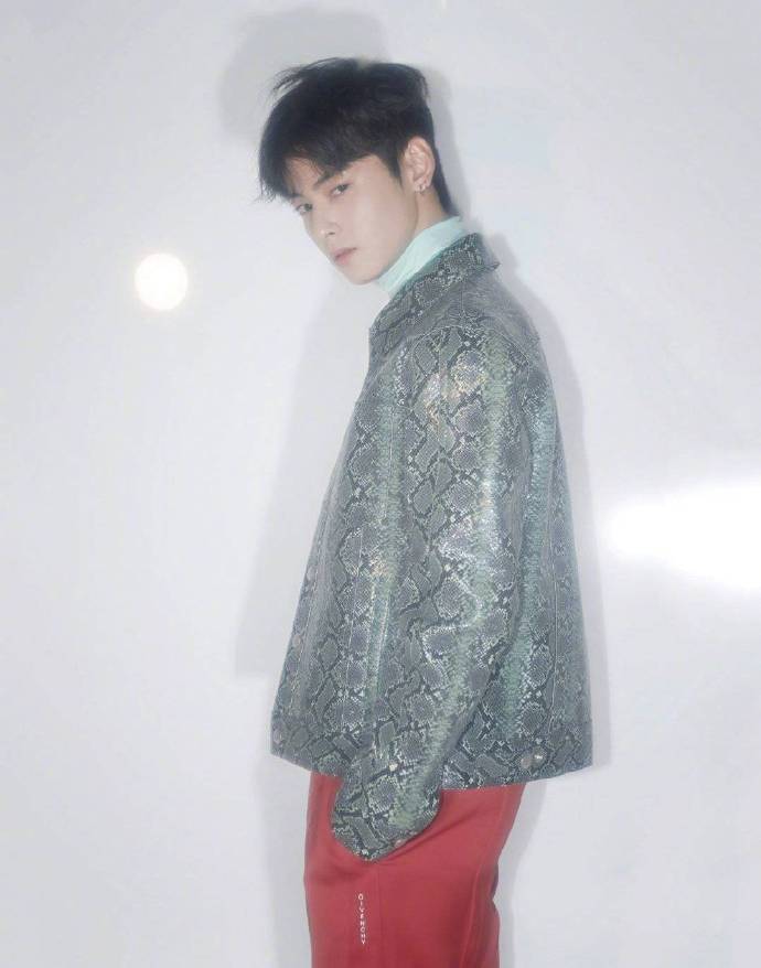 韩国男明星车银优写真图片