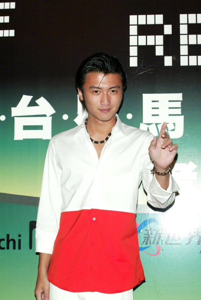 香港男明星谢霆锋年轻时的帅气图片