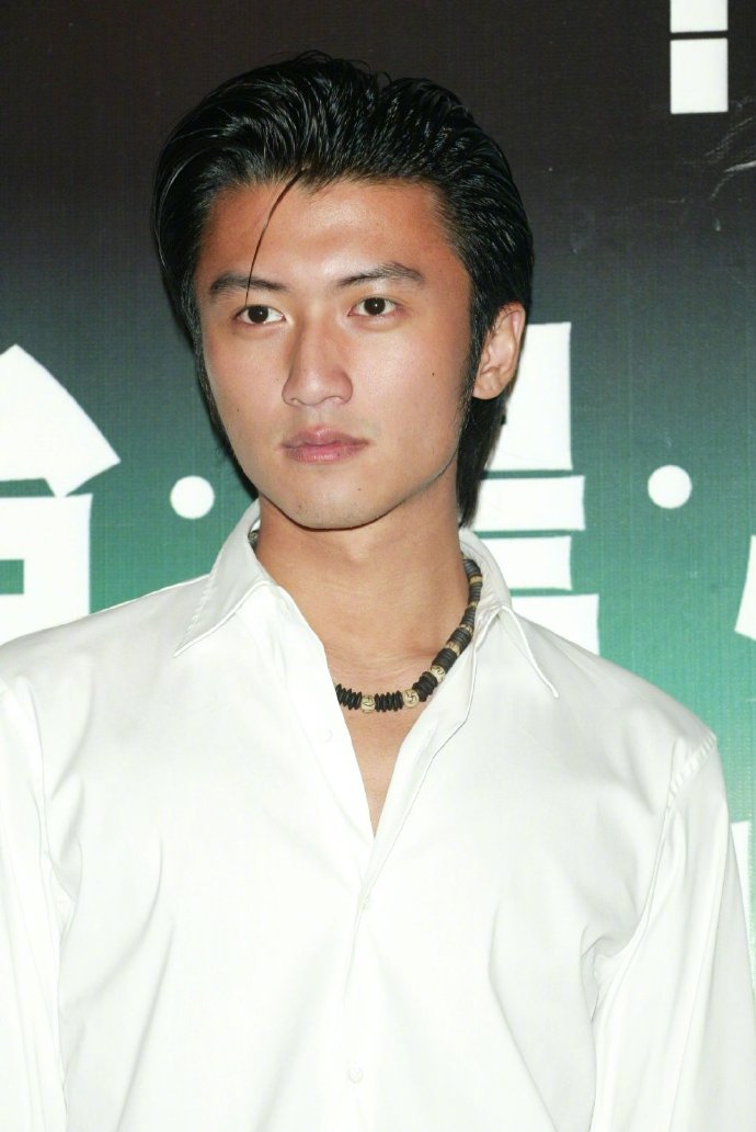 香港男明星谢霆锋年轻时的帅气图片