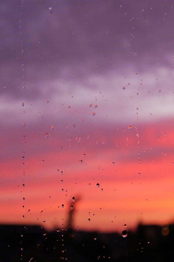 雨后黄昏风景图片