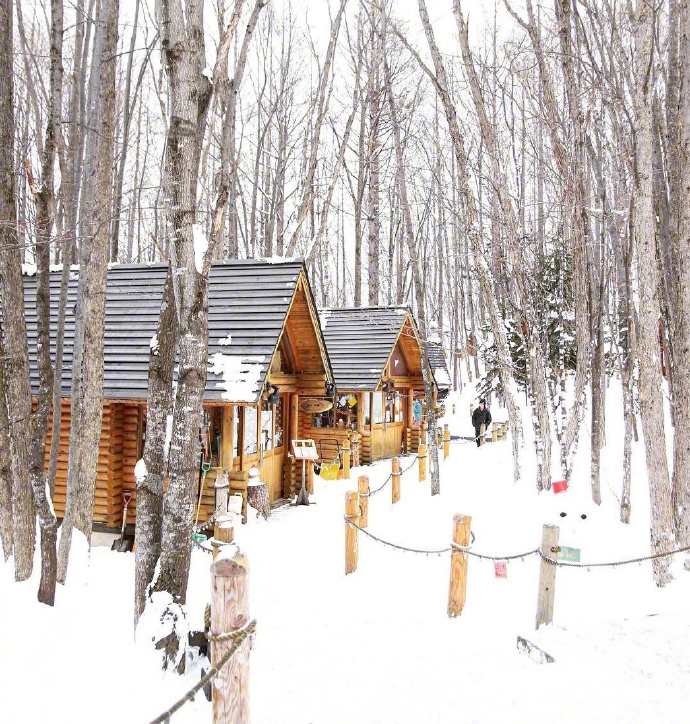 2018北海道雪景图片