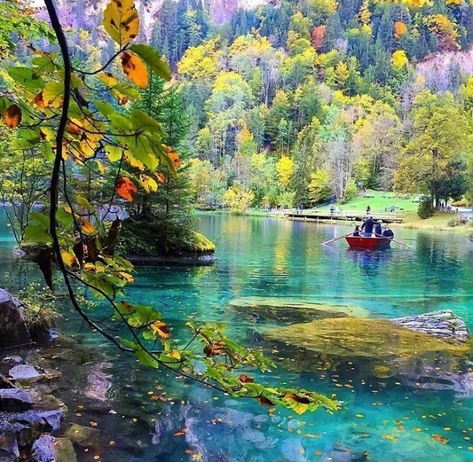 瑞士Blausee蓝湖风景图片