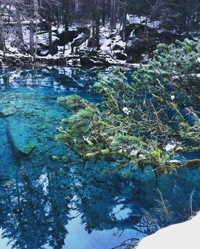 瑞士Blausee蓝湖风景图片