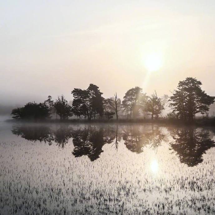 唯美倒影图片 所有的成功都来自于不倦的努力和