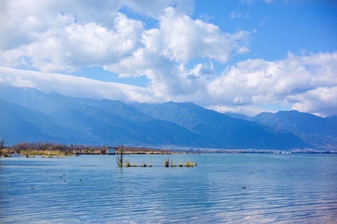 温暖而又纯粹的冬日洱海风景图片