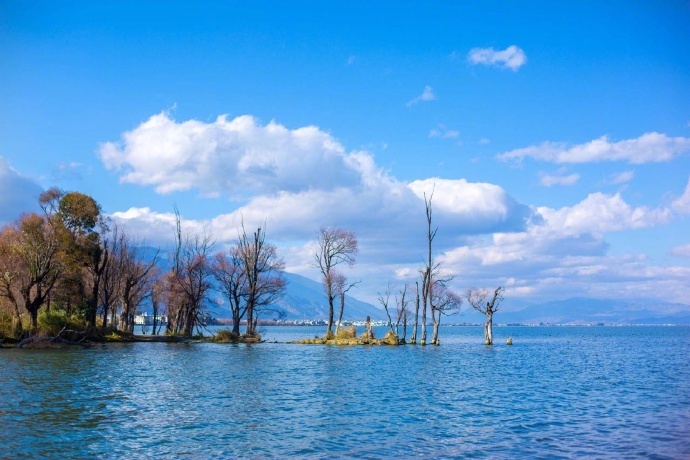 温暖而又纯粹的冬日洱海风景图片