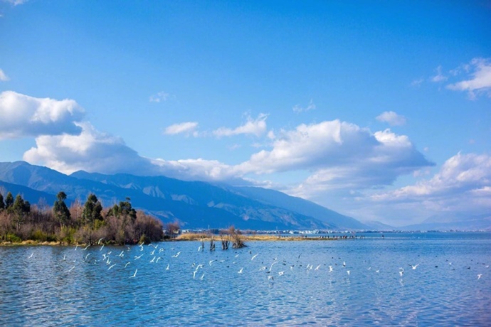 温暖而又纯粹的冬日洱海风景图片