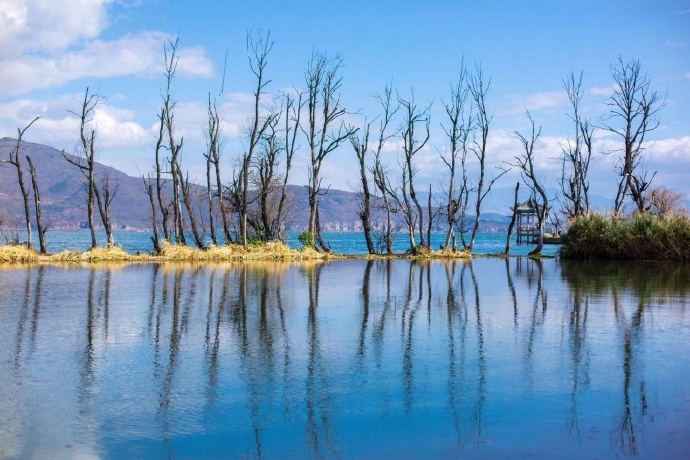 温暖而又纯粹的冬日洱海风景图片