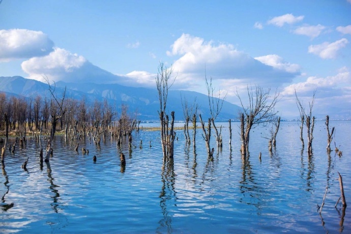 温暖而又纯粹的冬日洱海风景图片