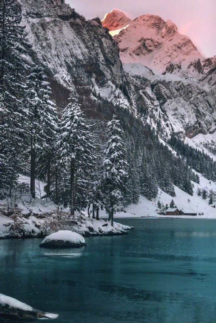 林间大雪风景图片