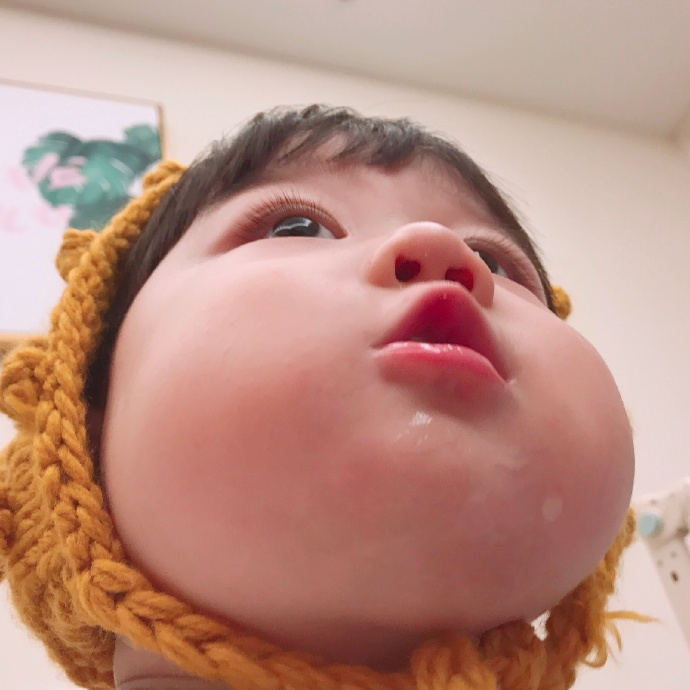 胖乎乎的小可爱头像图片