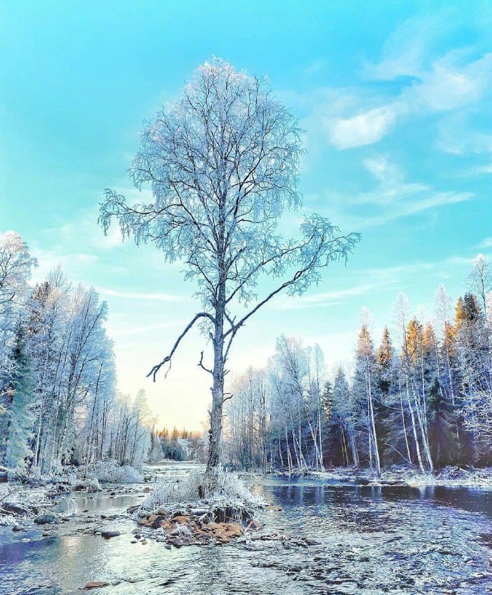 芬兰的雪中世界美景图片