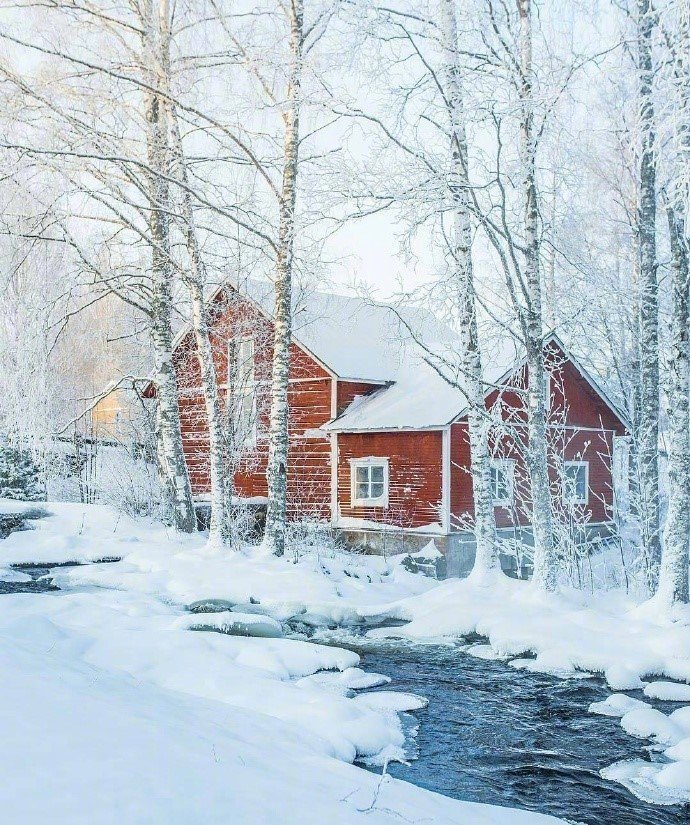 芬兰的雪中世界美景图片