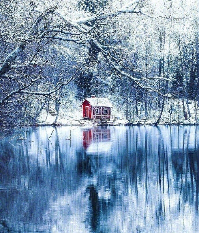芬兰的雪中世界美景图片