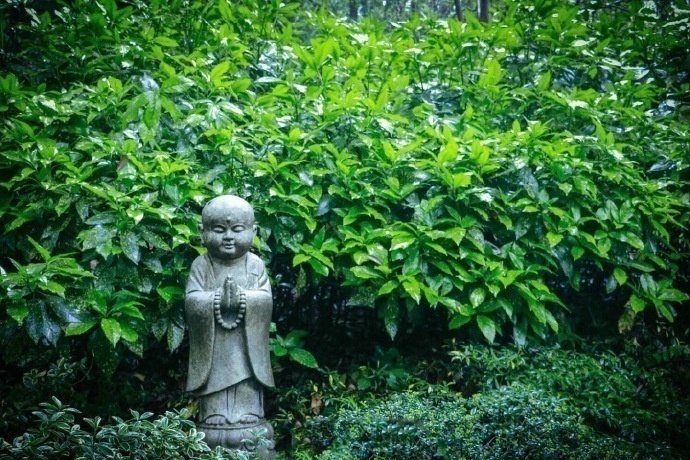 绿意盎然杭州灵隐寺美景图片