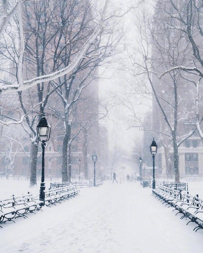 雪景图片大全 关于雪的图片