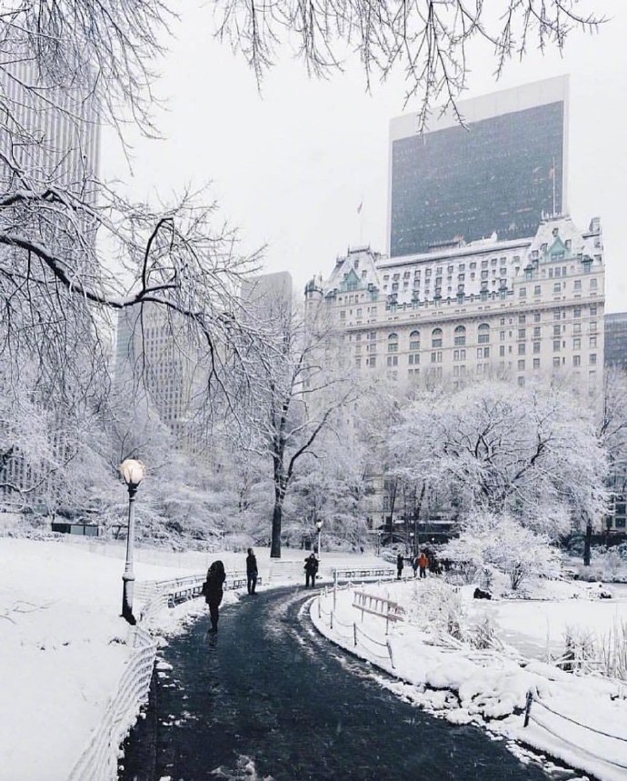 雪景图片大全 关于雪的图片