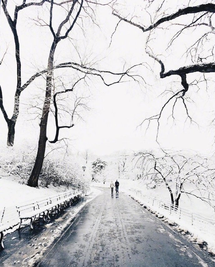 雪景图片大全 关于雪的图片