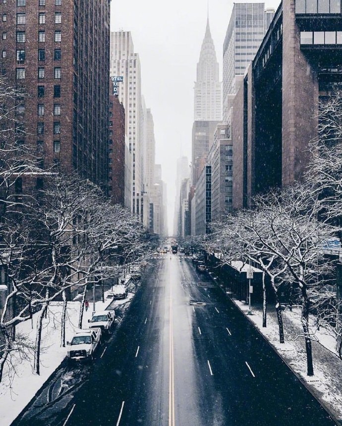 雪景图片大全 关于雪的图片