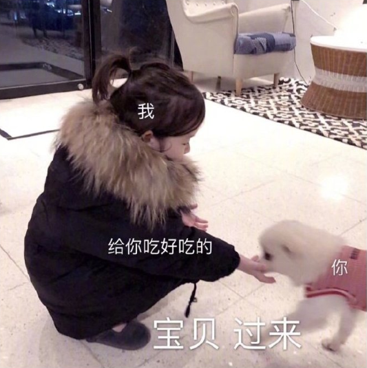 qq搞笑表情包图片 搞笑头像图片