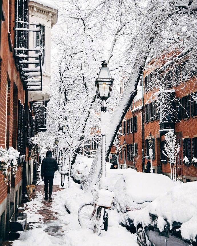 波士顿街头雪景风景图片