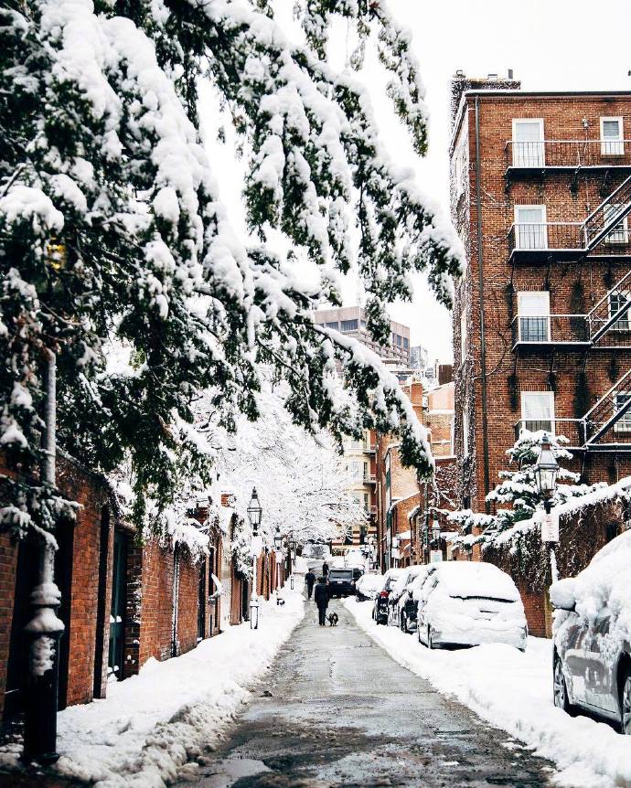 波士顿街头雪景风景图片