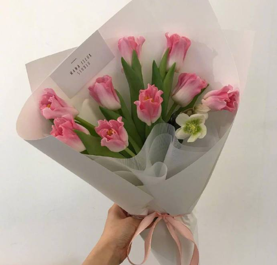 唯美郁金香花语：爱的表白和永恒的祝福