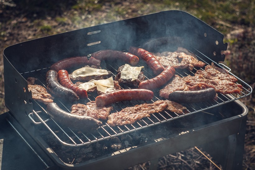 野外BBQ图片 又想骗我吃烤串系列