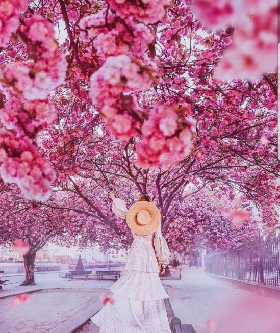甜甜的桃花树下清纯美女图片
