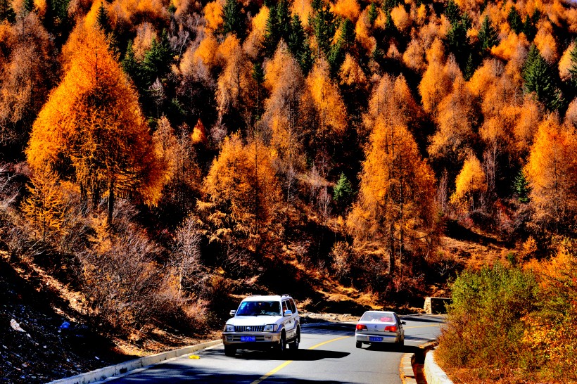 四川川西旅游风景美如画自然风景图片