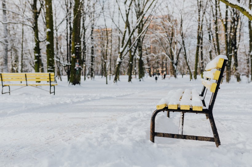 雪地里的公园风景图片