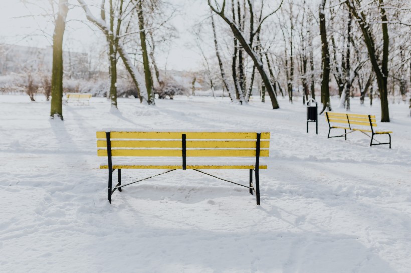 雪地里的公园风景图片