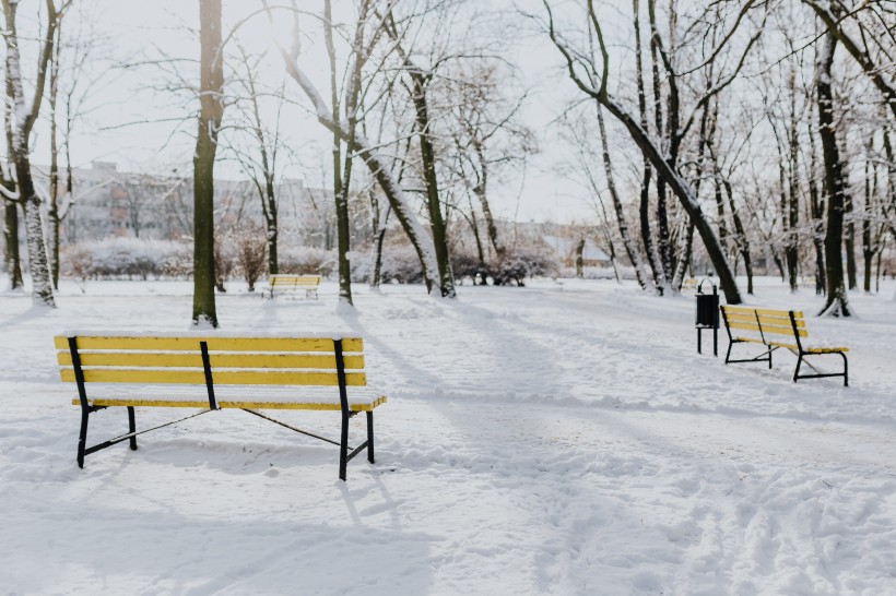 雪地里的公园风景图片
