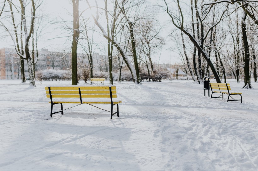 雪地里的公园风景图片