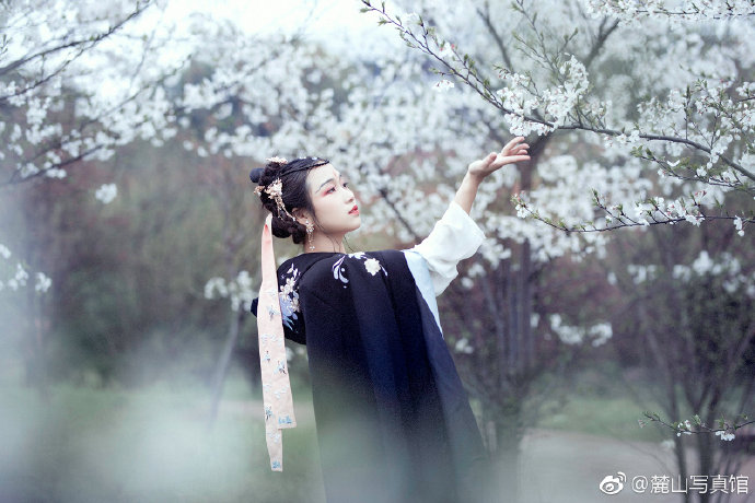 清纯美女樱花树下古装写真图片