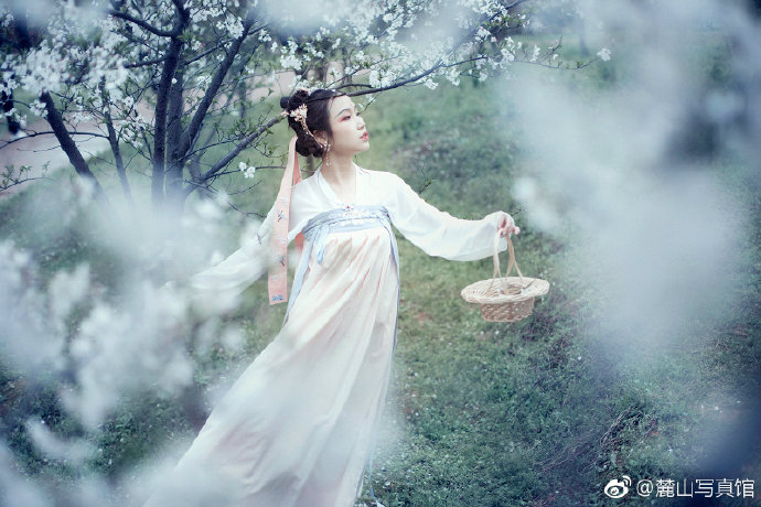 清纯美女樱花树下古装写真图片
